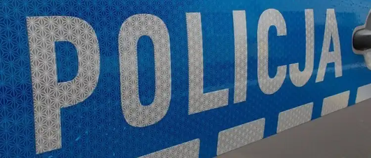 46 mandatów oraz 3 zatrzymane prawa jazdy - podsumowanie działań drogówki