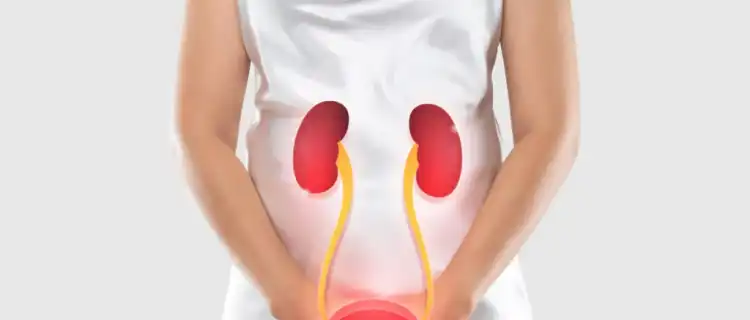 Jakie zioła na zakażenia układu moczowego? Naturalne wsparcie dla zdrowia.