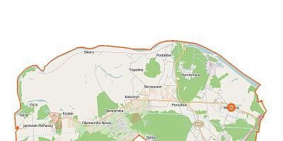 80 procent Pawła Kownackiego. Pełny skład rady gminy w Wieliszewie