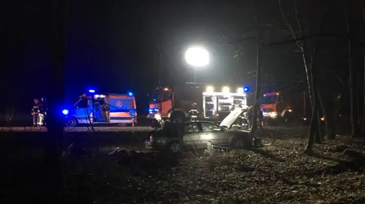 Zderzenie z łosiem w Rajszewie