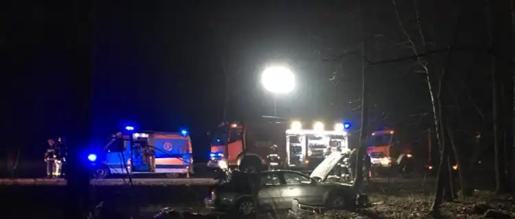 Zderzenie z łosiem w Rajszewie