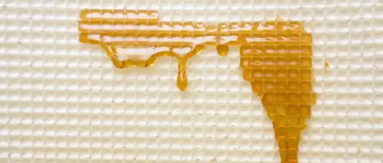 Domowe wafle z mlekiem w proszku
