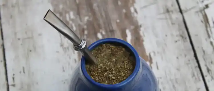 Jak zaparzyć Yerba Mate?