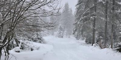 Intensywne opady śniegu - ostrzeżenie pierwszego stopnia IMGW dla powiatu legionowskiego i Mazowsza