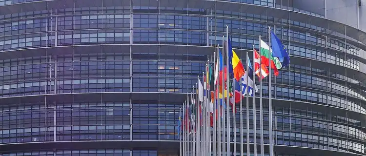 Wybory do europarlamentu 2019. Lista kandydatów do PE z Okręgu 4