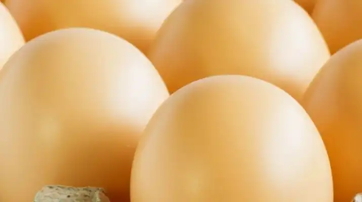 GIS wydał ostrzeżenie - Pałeczki Salmonella Enteritidis na powierzchni skorupek jaj.