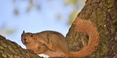 Swędzi cię skóra? Wypróbuj tych domowych sposobów!