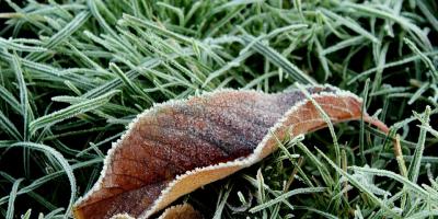 Uwaga na przymrozki - IMGW wydało ostrzeżenie dla powiatu legionowskiego