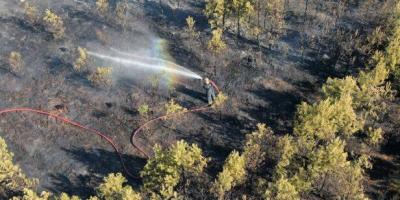 29 zastępów straży pożarnej i 113 ratowników gasiło wczorajszy pożar lasu przy ul. Zakopiańskiej