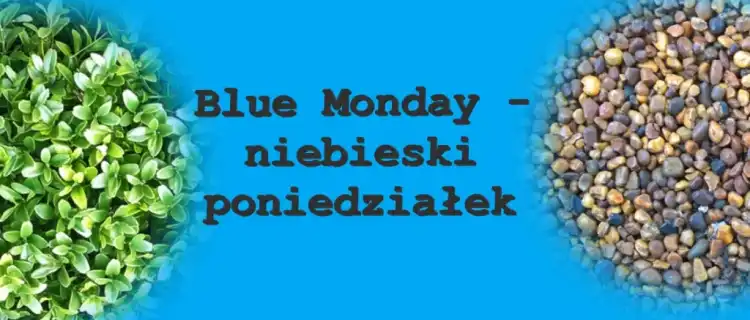 Blue Monday -  co to znaczy ? 