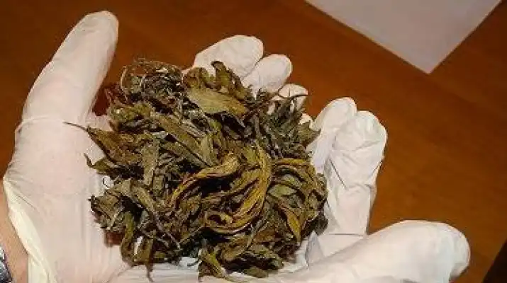 Kolejny nastolatek z Legionowa z marihuaną zatrzymany