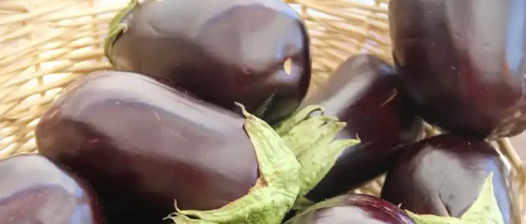 Wrześniowy Festiwal Smaków: Przepis na Ratatouille ze świeżymi warzywami