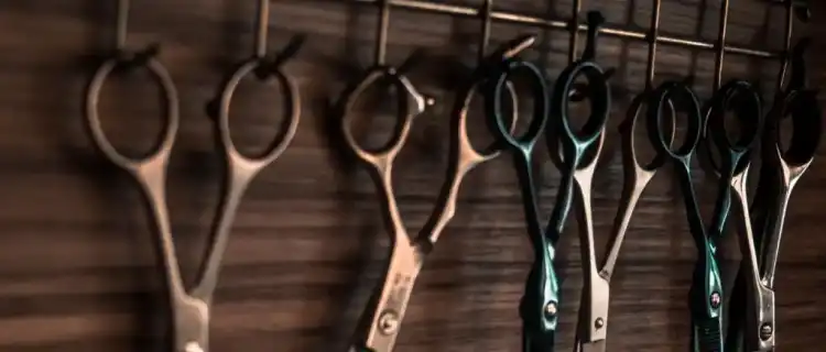 Jak wybrać najlepszy salon fryzjerski w Pszczynie?