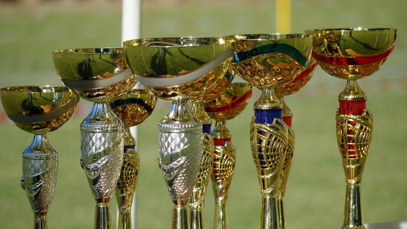 Sportowiec Roku Powiatu Legionowskiego 2017 - Lista nominowanych