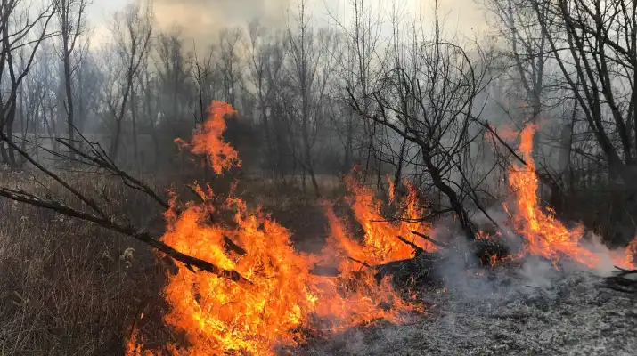 Wypalanie traw poważnym problemem w powiecie legionowskim 