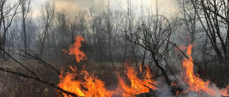 Wypalanie traw poważnym problemem w powiecie legionowskim 