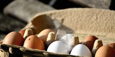 Salmonella na jajkach z Biedronki. GIS wydał ostrzeżenie