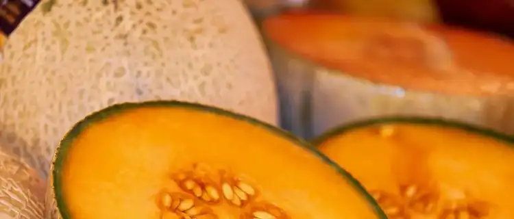 Zapach Letniego Raju: Odkryj Różnorodność Melonów i Ich Korzyści
