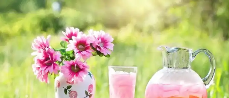 Lemoniada truskawkowo-rabarbarowa na zimę