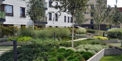 Jakie są korzyści i zalety zielonych dachów?