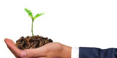 Dzień Ziemi w Legionowie. Ratusz będzie rozdawał sadzonki roślin.