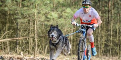 Wyścigi psich zaprzęgów - WIELISZEW CUP 2018 - już w najbliższy weekend