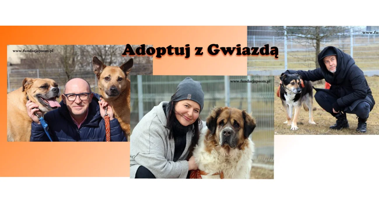 Adoptuj z Gwiazdą - akcja nowodworskiego schroniska