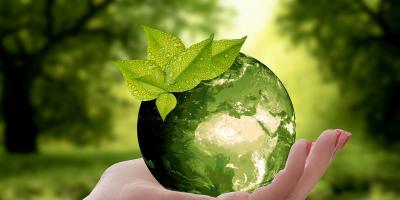 Legionowski Ekopatrol podsumował rok działalności