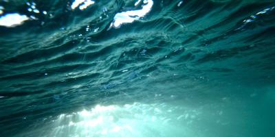 Kolejna tragedia nad wodą w powiecie legionowskim. Życie stracił 30-letni mężczyzna