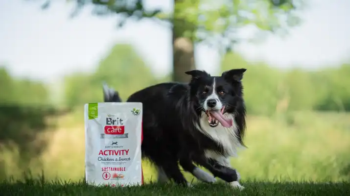 Czy karma dla psów średnich ras wystarcza psom o bardzo dużej aktywności fizycznej?