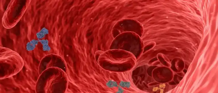 Cholesterol. Jak obniżyć jego poziom dietą? Lista produktów