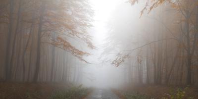 IMGW ostrzega! Gęste mgły w powiecie legionowskim