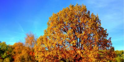 Pierwszy dzień jesieni 2018